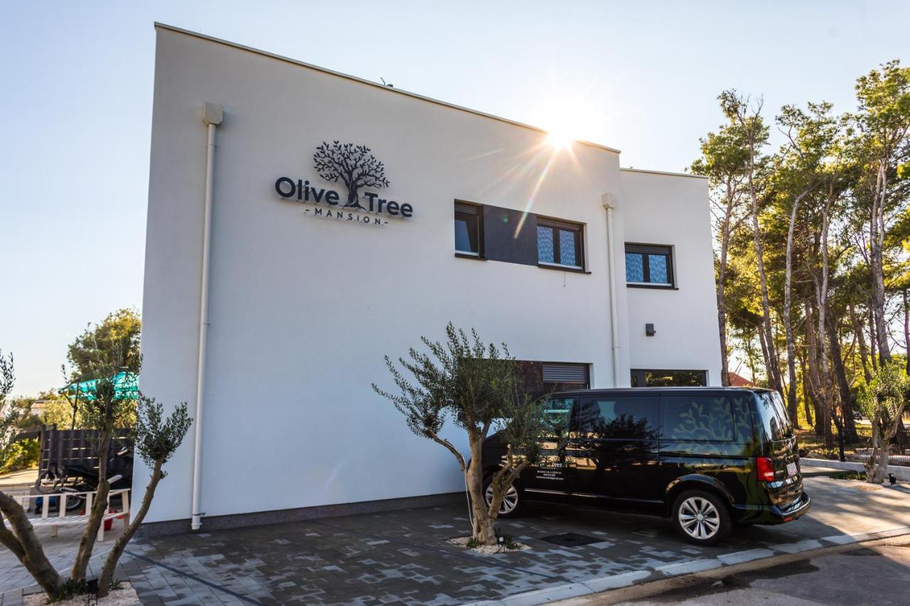 Olive Tree Mansion Apartment วีร์ ภายนอก รูปภาพ